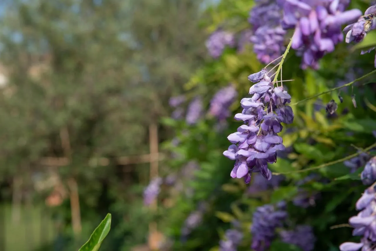 סאן תאודורו Villetta Corbezzolo איטליה